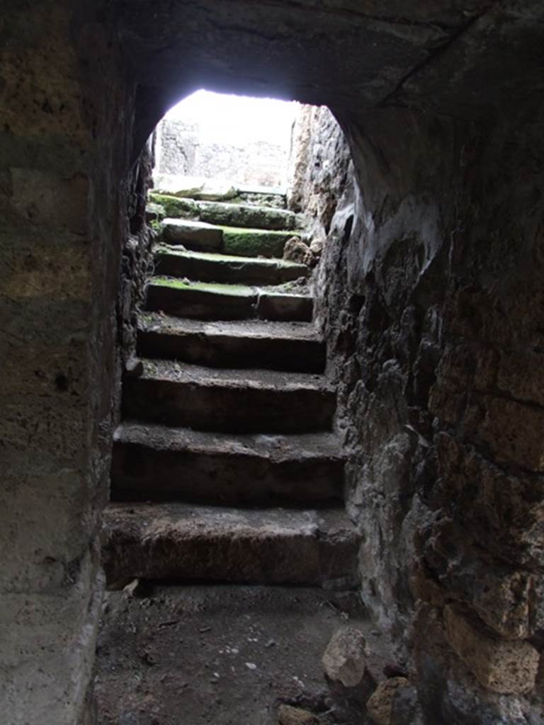 VI.10.7 Pompeii. March 2009. Room 12. Steps at north end of west corridor.