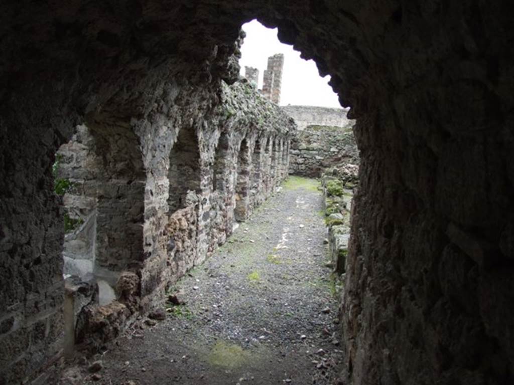 VI.10.7 Pompeii. March 2009. Looking south along west corridor behind garden area.