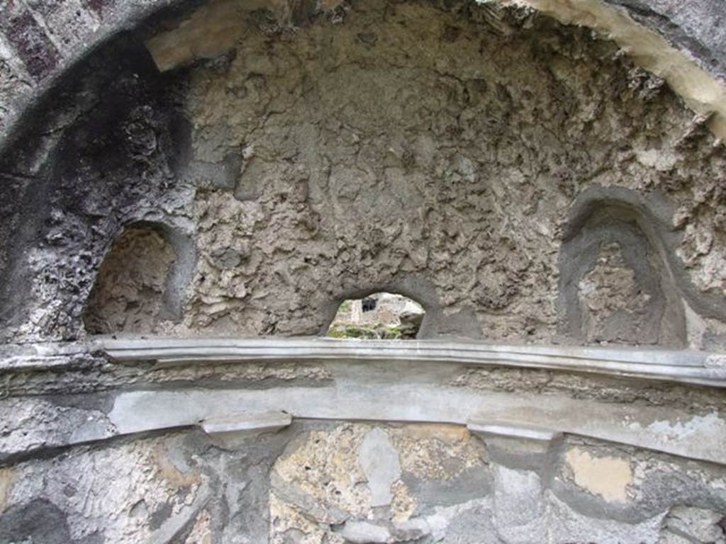VI.10.7 Pompeii. March 2009. Room 15. Garden area. South side. Apsed mosaic niche at west end. Two small niches and hole in rear wall.