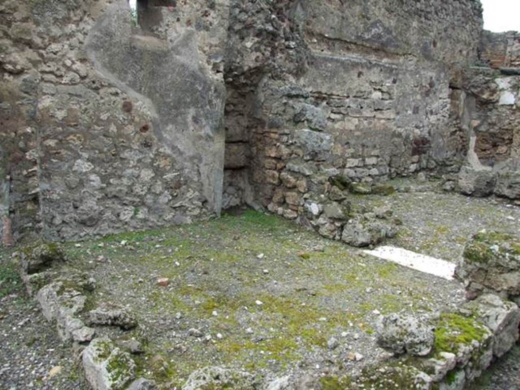 VI.10.7 Pompeii.  March 2009.  Room 19.