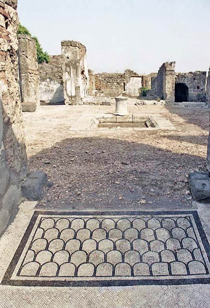 VI.10.7 Pompeii. October 2001. Looking east from entrance towards atrium and tablinum. Photo courtesy of Peter Woods.
