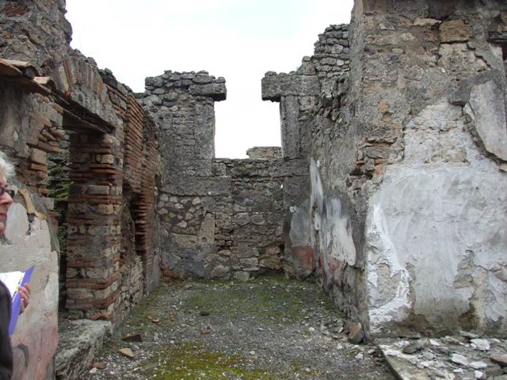 VI.10.11 Pompeii. March 2009. Room 6. East wall of Ala.