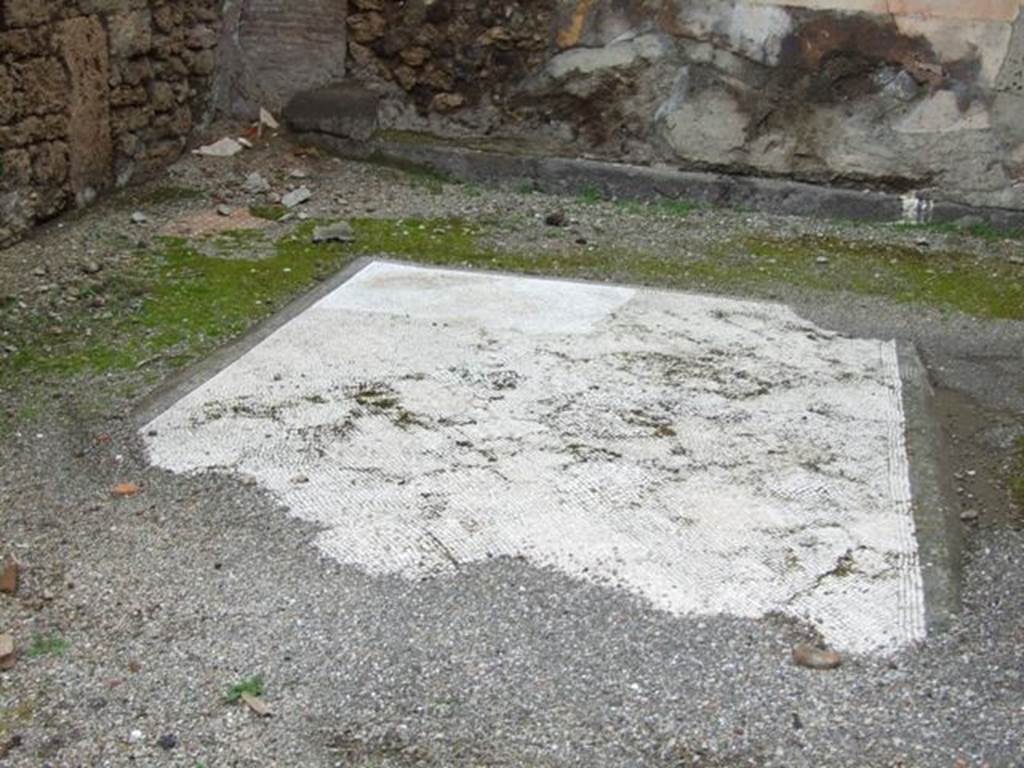 VI.10.11 Pompeii. March 2009. Room 8. Tablinum. Mosaic floor.
