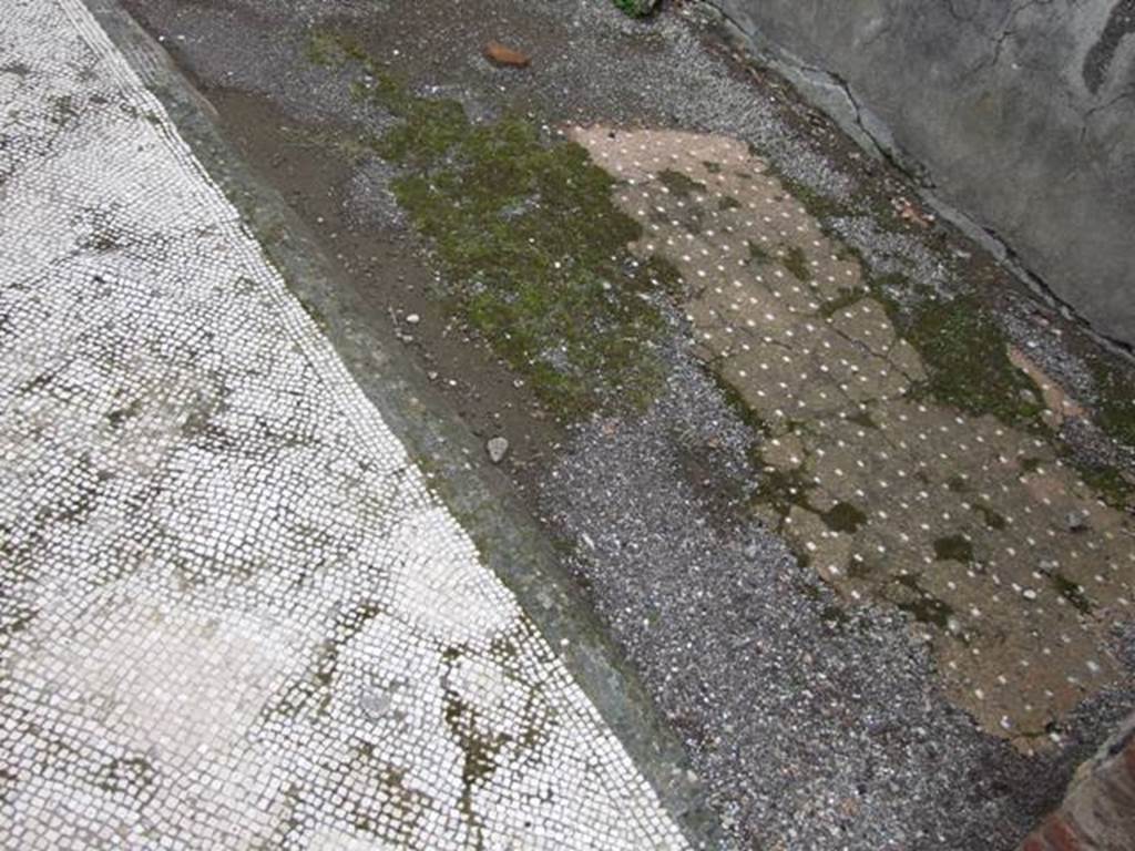 VI.10.11 Pompeii. March 2009. Room 8, black and white mosaic floor in tablinum, with a black border. Surrounding the mosaic floor was a cocciopesto floor, with white stone dotted pattern.