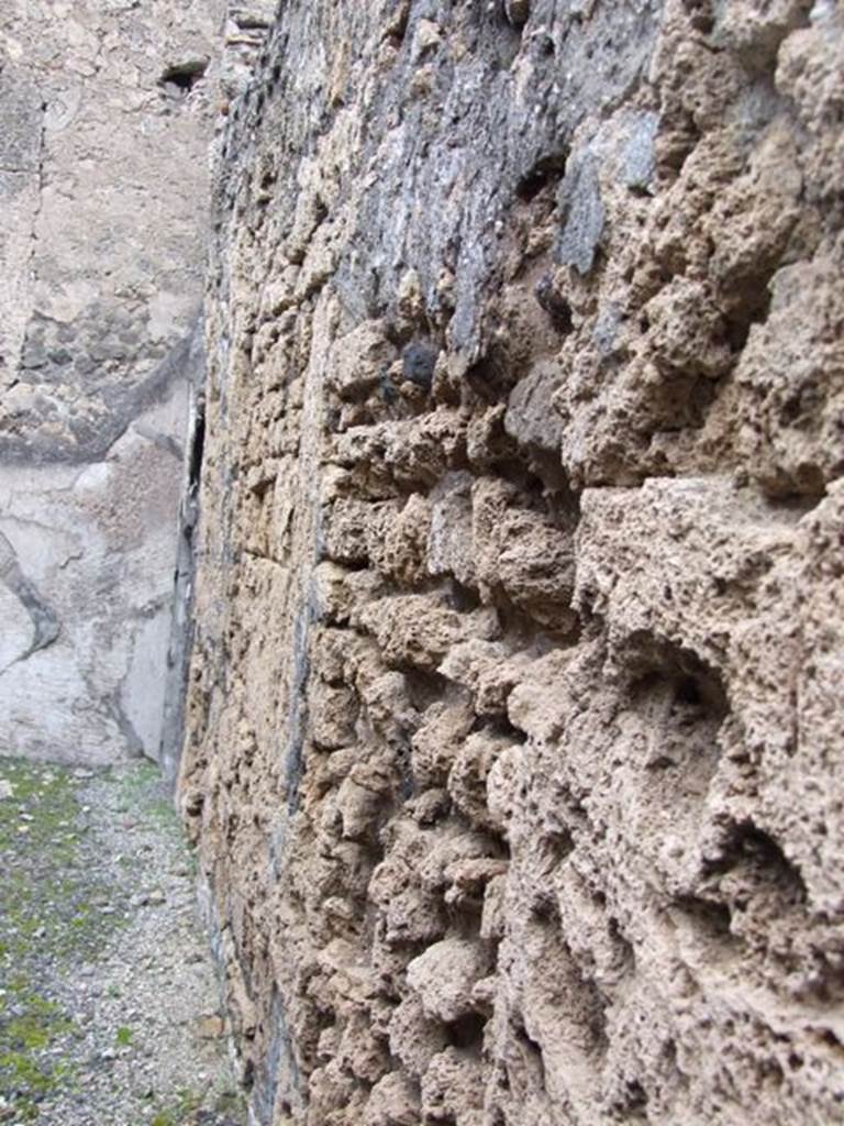 VI.10.11 Pompeii. March 2009. Room 9. Oecus. East wall.