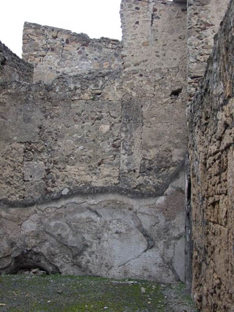 VI.10.11 Pompeii. March 2009. Room 9. Oecus. North wall.