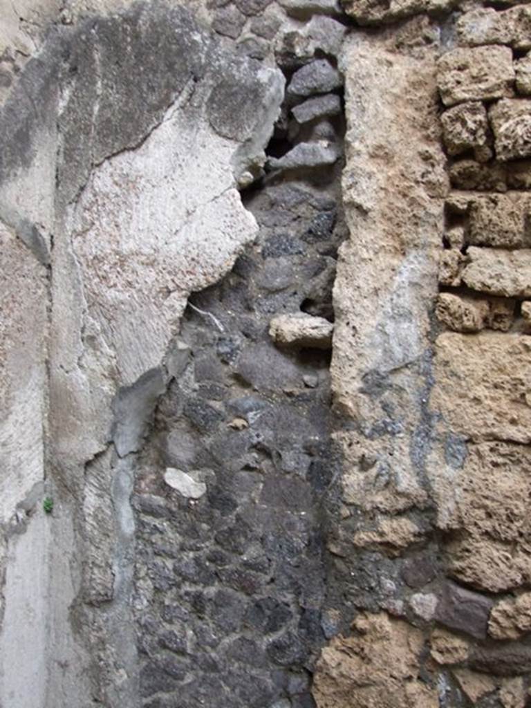 VI.10.11 Pompeii. March 2009. Room 9. Oecus. North east corner.
