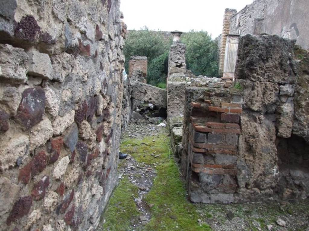 VI.10.11 Pompeii. March 2009. Room 14. Corridor to rear.