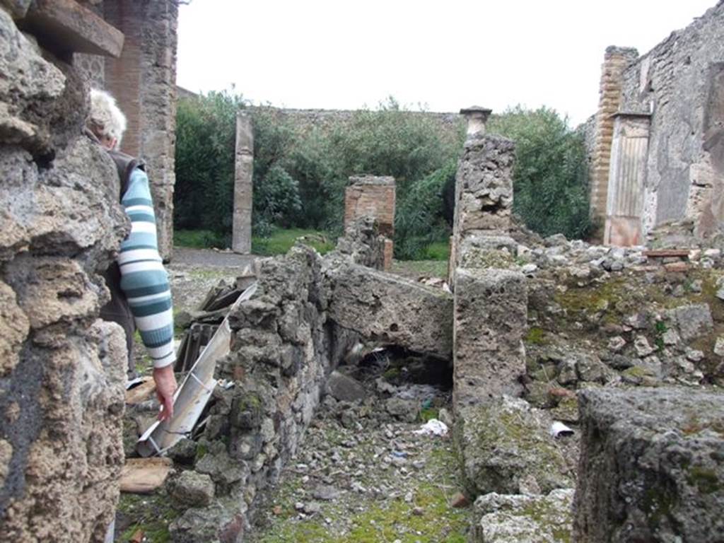 VI.10.11 Pompeii. March 2009. Room 14. Corridor to rear blocked by fallen masonry.