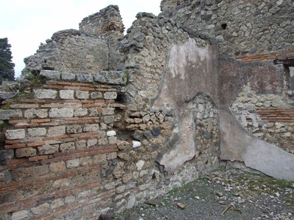 VI.10.14 Pompeii. March 2009. Room 2. Triclinium. North wall.
