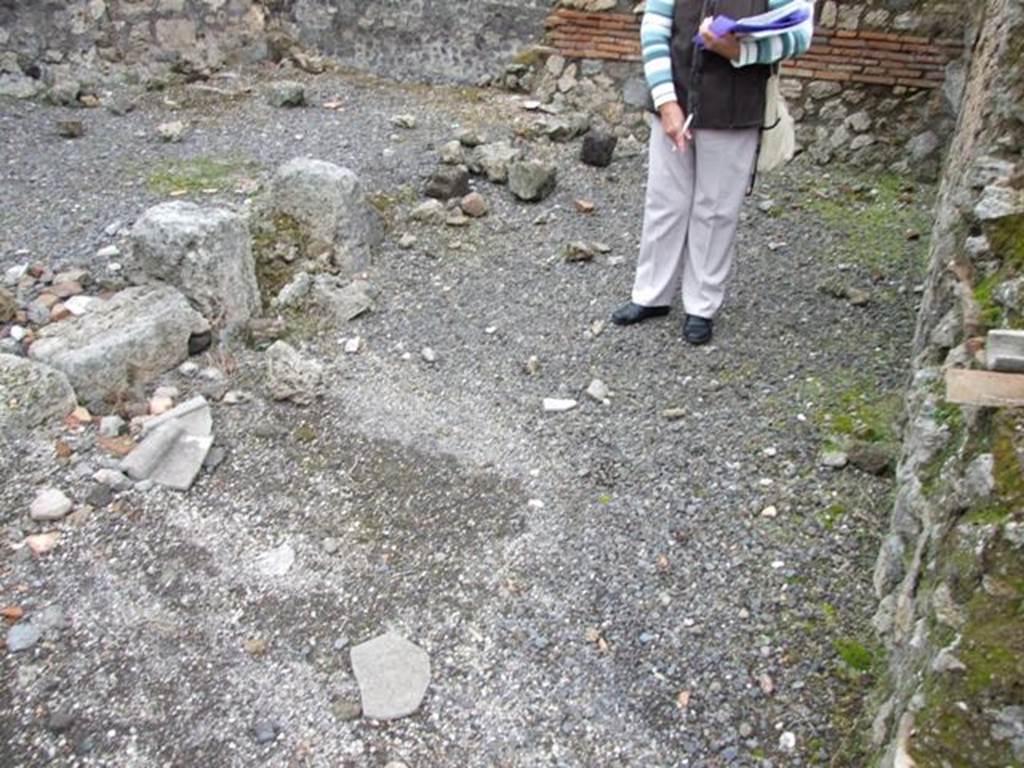 VI.10.14 Pompeii. March 2009. Room 6, site of room on north side of atrium.