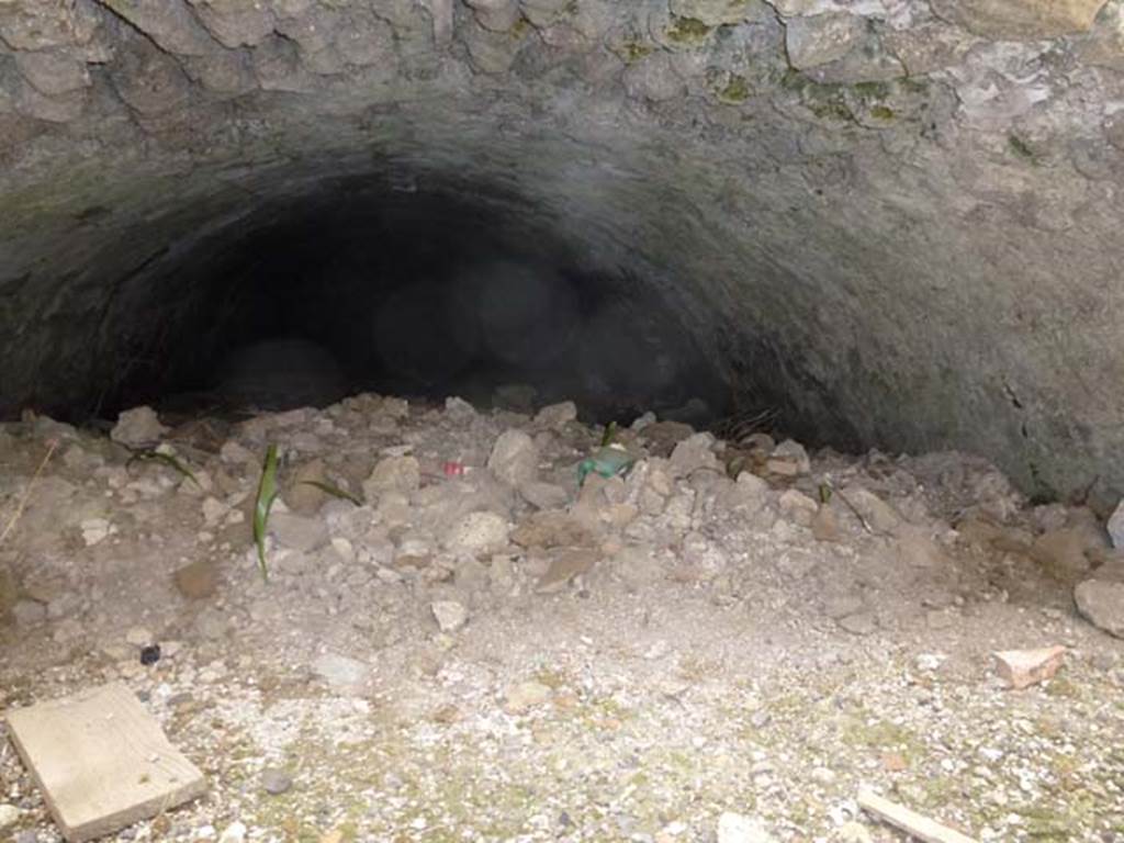 VI.10.17 Pompeii. September 2011. Arched cellar area. Photo courtesy of Michael Binns.