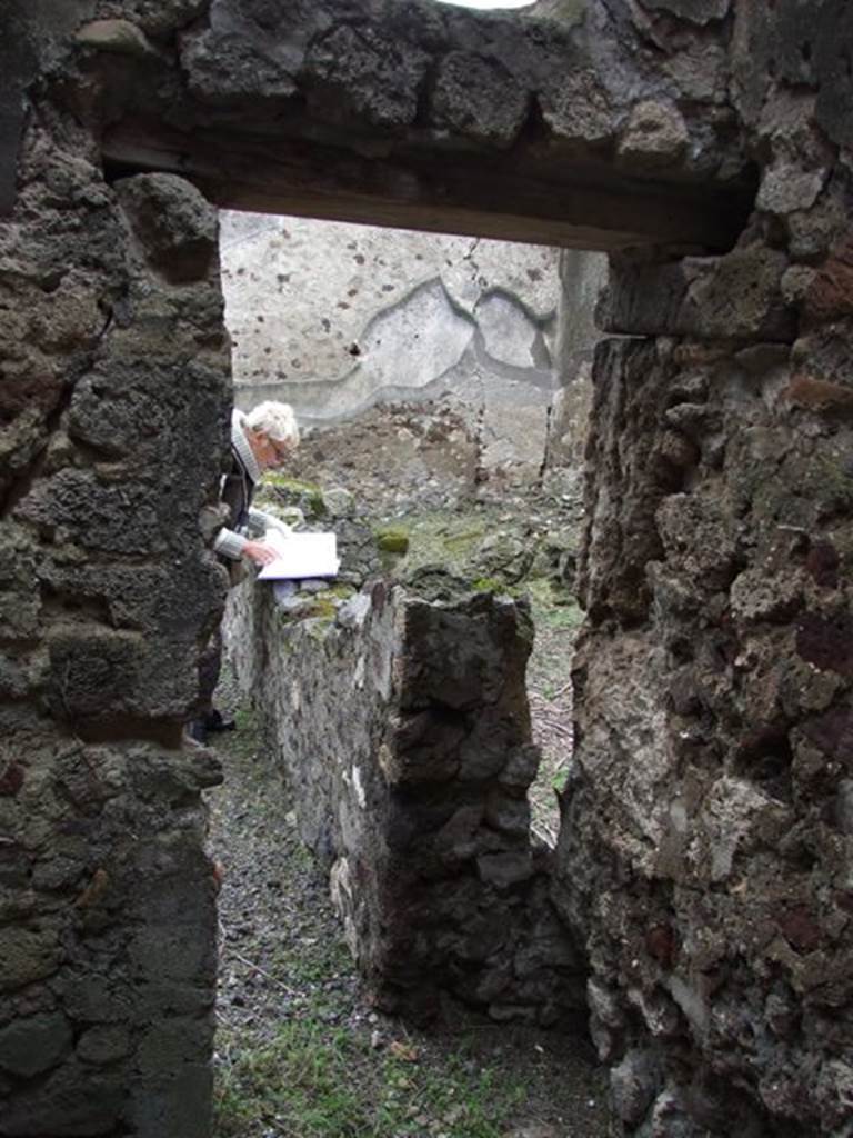 VI.11.9 Pompeii. March 2009. Room 14, south wall with doorway into room 10/15, corridor.