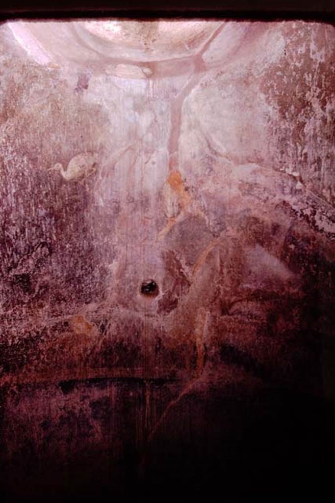 VI.11.9 Pompeii.
Room 22, painted garden scene from rear wall of caldarium alcove. Photo by Stanley A. Jashemski.
Source: The Wilhelmina and Stanley A. Jashemski archive in the University of Maryland Library, Special Collections (See collection page) and made available under the Creative Commons Attribution-Non-Commercial License v.4. See Licence and use details.
J74f0142