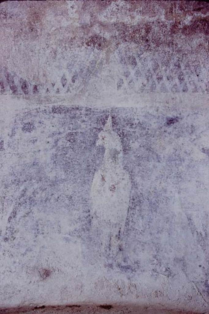 VI.11.9 Pompeii. 1974.
Room 22, detail of painted bird on rear wall of caldarium alcove. Photo by Stanley A. Jashemski.
Source: The Wilhelmina and Stanley A. Jashemski archive in the University of Maryland Library, Special Collections (See collection page) and made available under the Creative Commons Attribution-Non-Commercial License v.4. See Licence and use details.
J74f0143