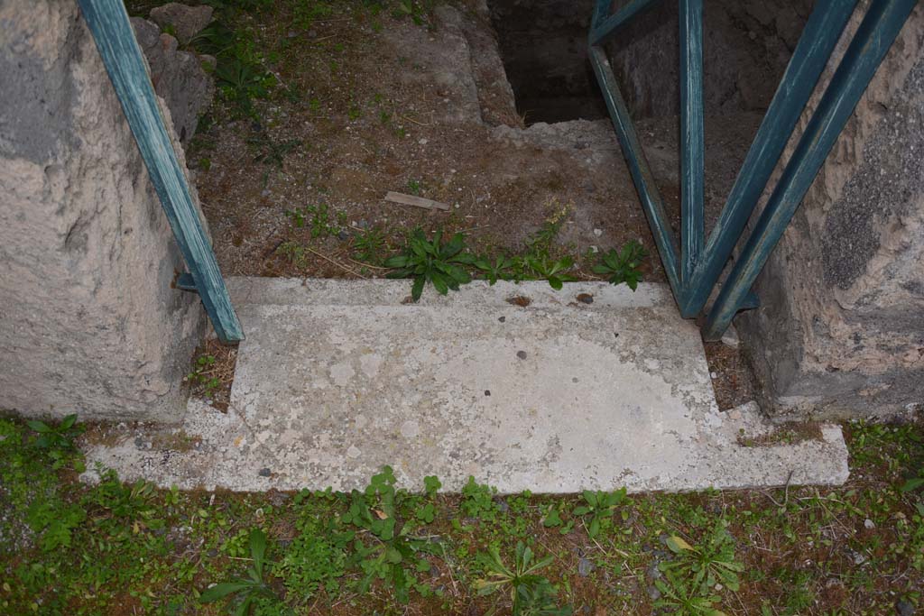 VI.11.9 Pompeii. October 2017. Room 2, doorway threshold.
Foto Annette Haug, ERC Grant 681269 DÉCOR
