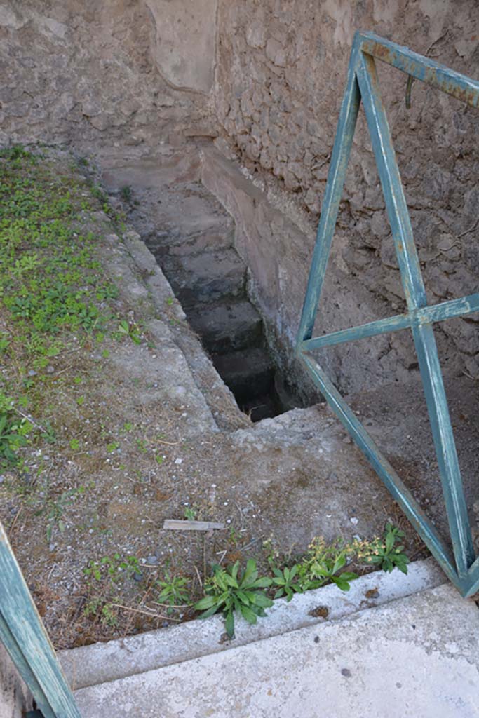 VI.11.9 Pompeii. October 2017.
Room 2, looking towards south-west corner and steps to cellar, near west wall.
Foto Annette Haug, ERC Grant 681269 DÉCOR