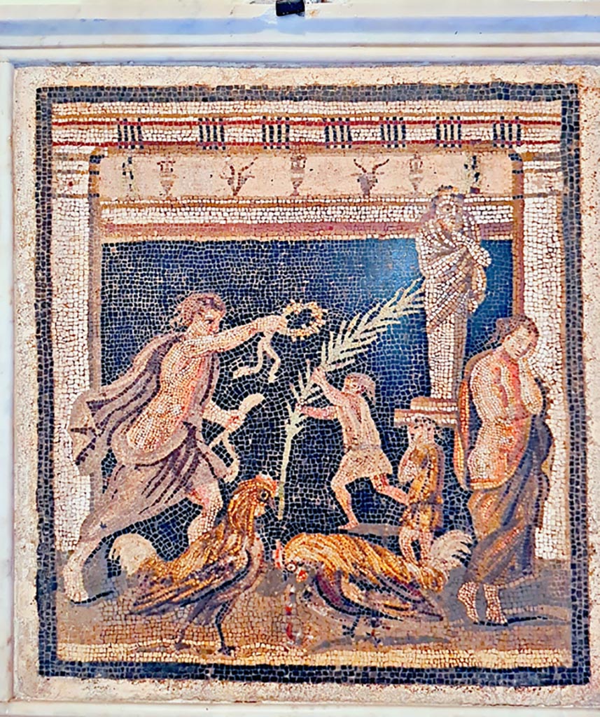 VI.11.10 Pompeii. Found in small room 44, on left side of room 43, on 10th September 1835.
Mosaic showing a cock fight in the presence of two youths.
Now in Naples Archaeological Museum, inventory number 9982.
According to the information card –
Cockfight between the personifications of Victory and Defeat.
Mosaic emblema in opus vermiculatum.
The scene depicts a cockfight in which the losing bird is bleeding.
The owners are shown in the background: the sad owner of the defeated bird is depicted on the right together with a manservant, while the owner of the victorious bird on the left offers a wreath to the statue of Priapus; a boy on the right carries the victory palm.
(First half of the Ist century BC.)
(Lotta di galli tra le personificazioni delle Vittoria e della Sconfitta.
Emblema pavimentale in opus vermiculatum.
La scena raffigura una lotta di galli, con quello perdente che sanguina.
In secondo piano, sono i proprietari: triste quello del gallo sconfitto, a destra, insieme a un servetto; mentre quello del gallo vittorioso, a sinistra, offre una corona alla statua di Priapo; un fanciullo, da destra, porta la palma della vittoria. Prima metà del I secolo a.C.)
Photo courtesy of Giuseppe Ciaramella. September 2024.