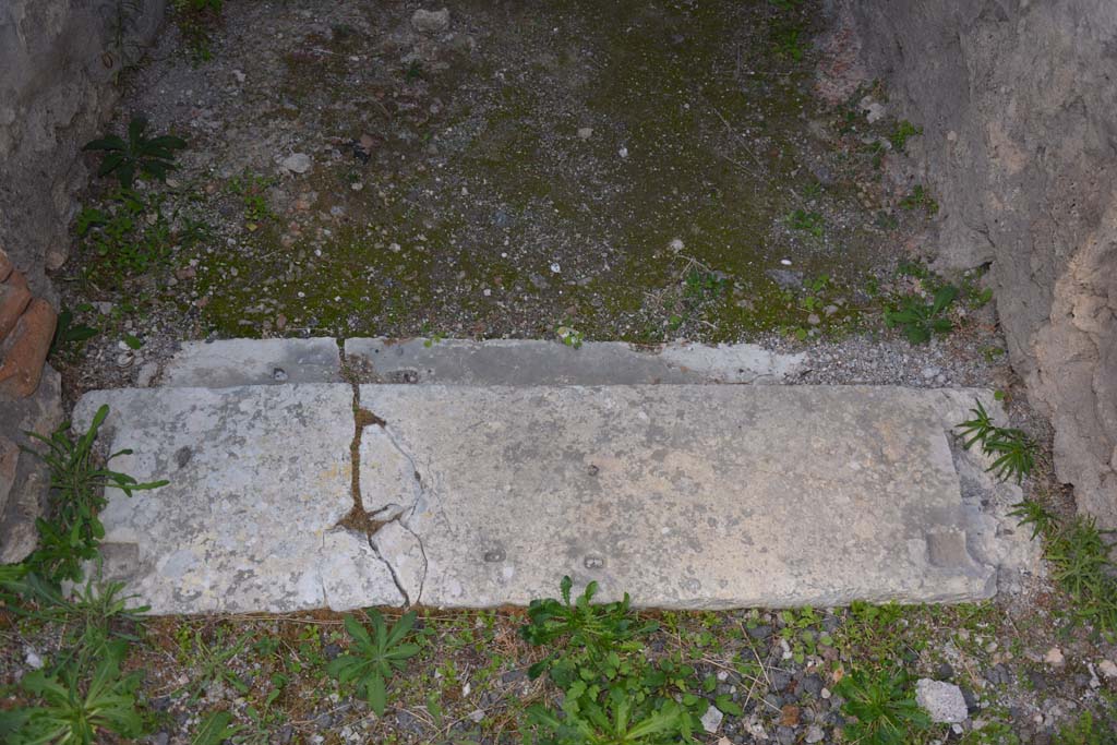 VI.11.10 Pompeii. October 2017. Room 48, detail of threshold of doorway.
Foto Annette Haug, ERC Grant 681269 DÉCOR