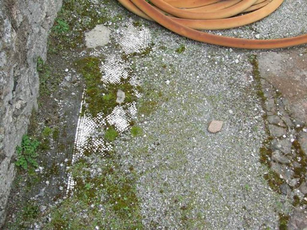 VI.11.10 Pompeii. March 2009. Room 35, traces of mosaic floor near west wall.