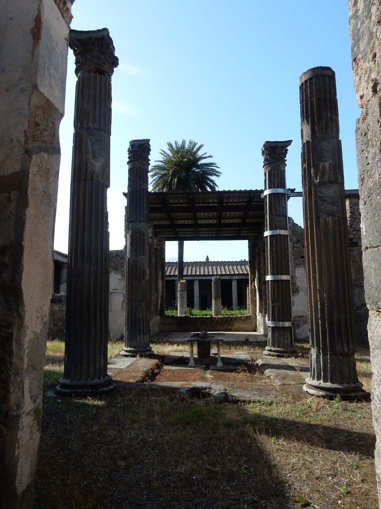 VI.11.10 Pompeii. June 2019.
Looking north from entrance corridor towards impluvium in Tetrastyle atrium.
Photo courtesy of Buzz Ferebee.