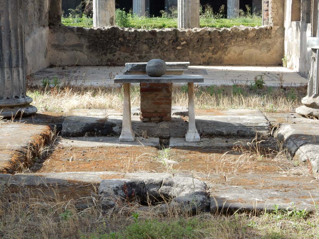 VI.11.10 Pompeii. June 2019. Looking north from entrance towards impluvium in atrium, and across to tablinum.
Photo courtesy of Buzz Ferebee.