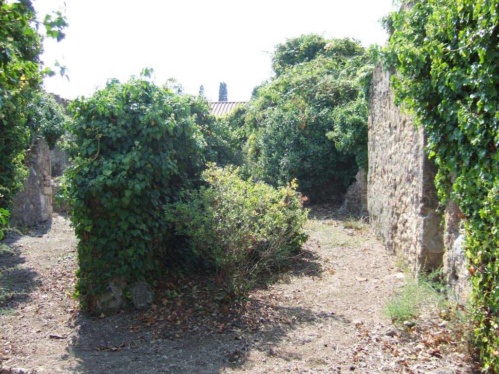 VI.11.17 Pompeii. September 2005.
Looking west from atrium towards tablinum (7’), centre rear. On its right would have been a small room/cupboard.
In the north wall of the atrium, on the right, is a doorway to triclinium (5’). On the left is the peristyle area.