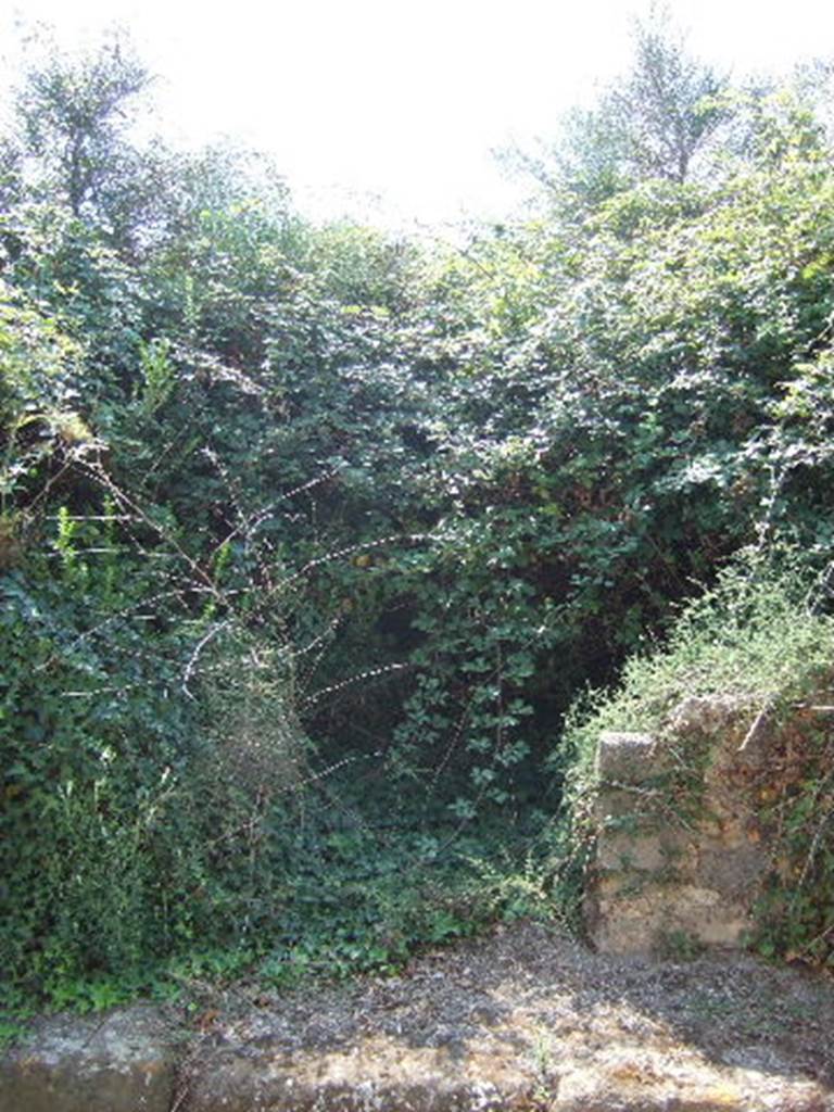 VI.11.20. Entrance overgrown. September 2005.