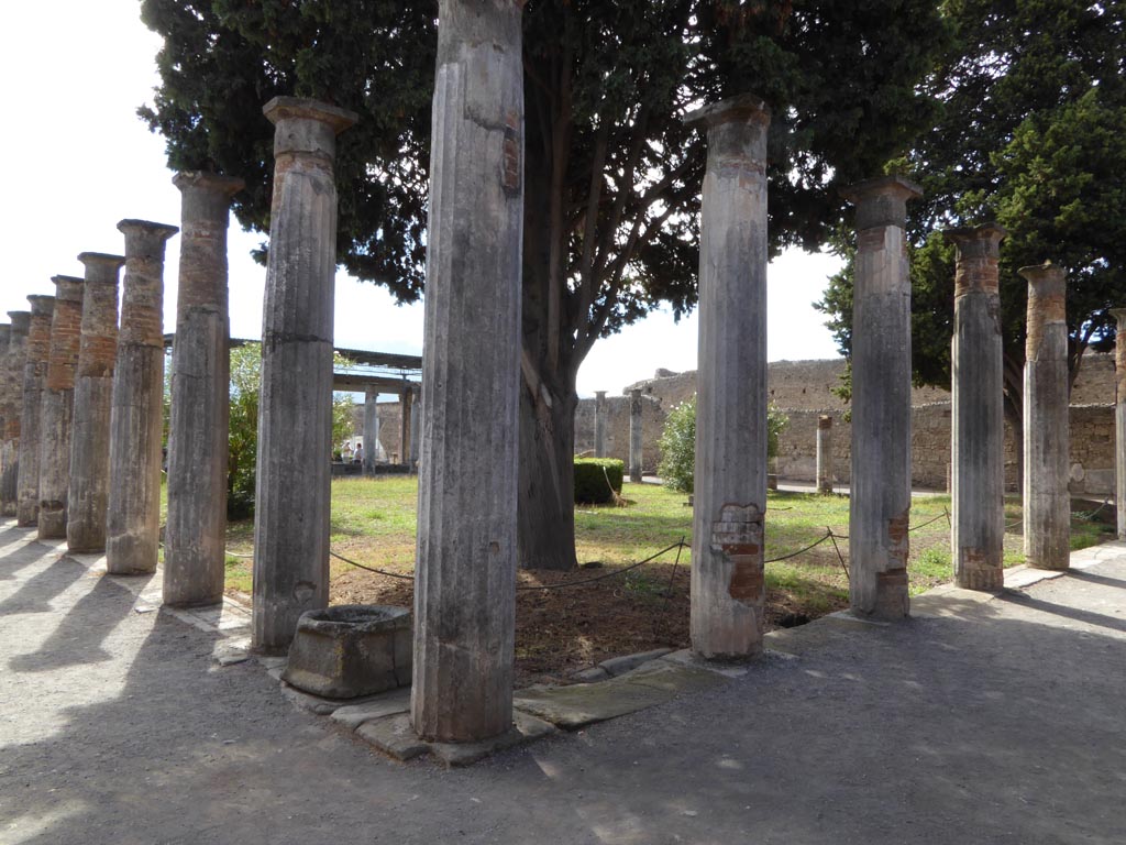 VI.12.2 Pompeii. January 2017. Looking south-west across rear peristyle from north-east corner.
Foto Annette Haug, ERC Grant 681269 DÉCOR.