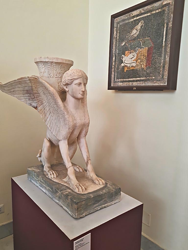 VI.12.2 Pompeii. September 2024.
Marble table support in the form of a sphinx, found between the columns in the second peristyle on 1st July 1831.
Now in Naples Archaeological Museum. Inventory number 6869. Photo courtesy of Giuseppe Ciaramella.