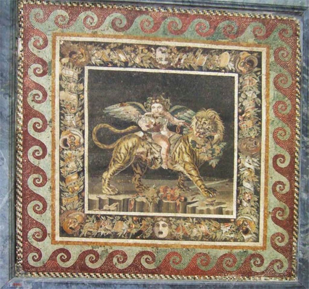 VI.12.2 Pompeii. May 2006. Found in one of the two dining rooms at the side of the tablinum.
Mosaic of the child Dionysus astride an animal with the head of a lion and the body of a tiger.
Mau described it as a floor mosaic of the Genius of the autumn, represented as a vine crowned boy sitting on a panther and drinking out of a deep golden bowl.
See Mau, A., 1907, translated by Kelsey F. W. Pompeii: Its Life and Art. New York: Macmillan. (p.292-3)
Now in Naples Archaeological Museum. Inventory number 9991.
Found 1st December 1830, see PAH II, 242.
Kuivalainen comments: The potential Bacchus-emblema, a tiger-rider (MANN 9991), is more likely a Genius or a Cupid.
See Kuivalainen, I., 2021. The Portrayal of Pompeian Bacchus. Commentationes Humanarum Litterarum 140. Helsinki: Finnish Society of Sciences and Letters, p. 75 note 352.