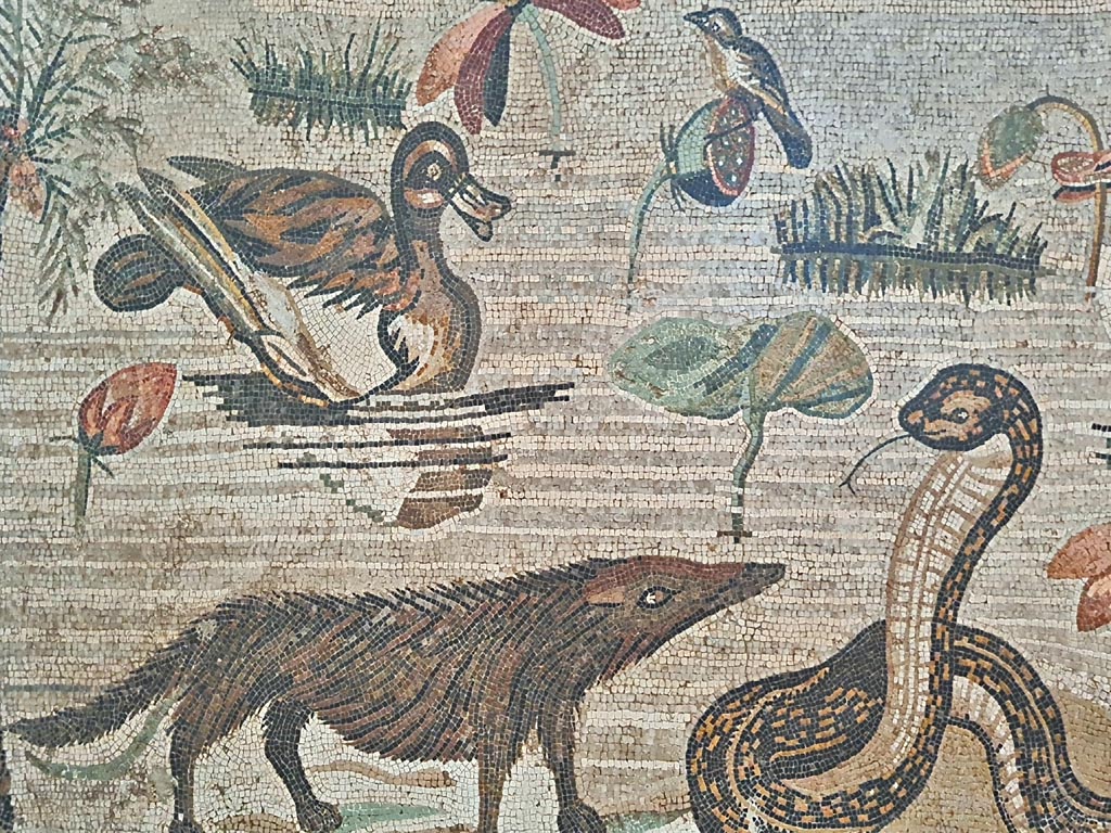 VI.12.2 Pompeii. September 2024.
Detail from mosaic of Nilotic scene, including ducks and cobra. Photo courtesy of Giuseppe Ciaramella.