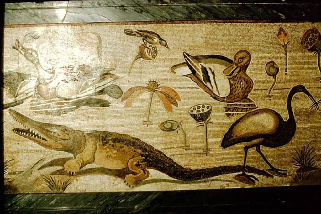 VI.12.2 Pompeii. 1957. Detail from mosaic of, crocodile, Ibis and other creatures of the Nile.
Photo by Stanley A. Jashemski.
Source: The Wilhelmina and Stanley A. Jashemski archive in the University of Maryland Library, Special Collections (See collection page) and made available under the Creative Commons Attribution-Non Commercial License v.4. See Licence and use details.
J57f0526