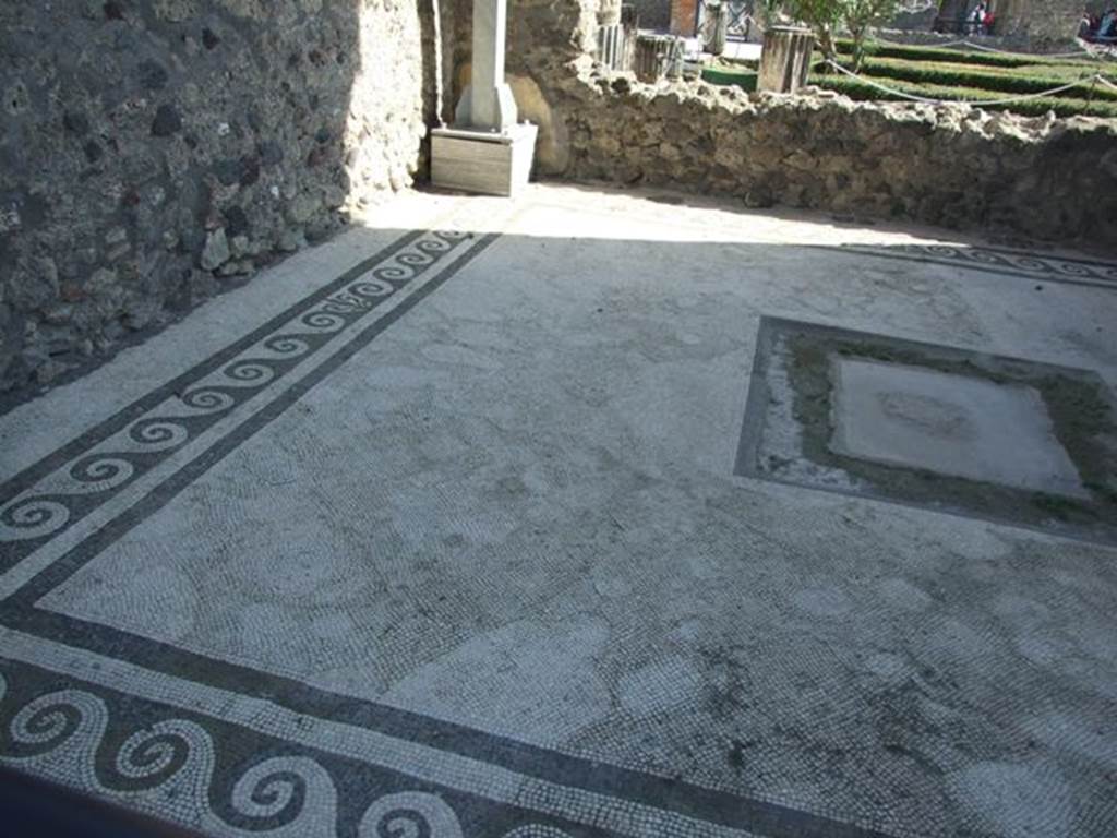 VI.12.2 Pompeii. March 2009.
Oecus or triclinium on west side of corridor, on south side of second/rear peristyle, looking south over east end of mosaic floor.