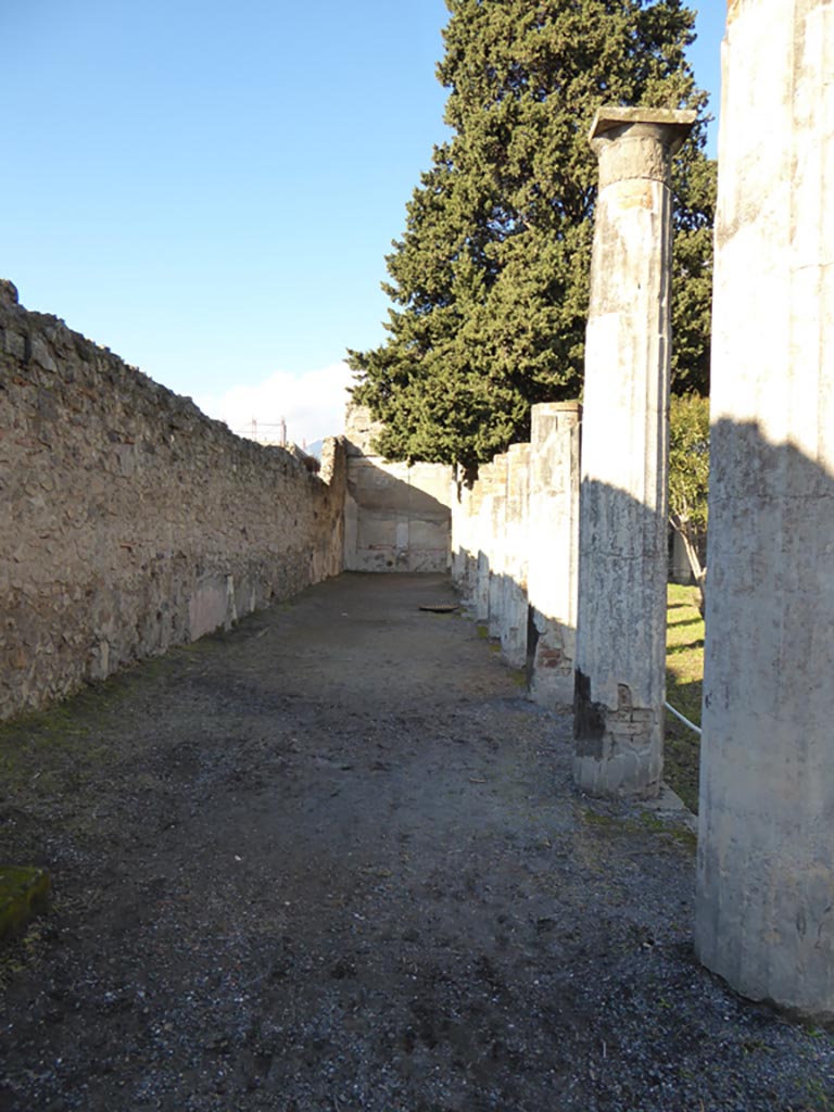 VI.12.2 Pompeii. January 2017. Looking north from south-west corner of rear peristyle.
Foto Annette Haug, ERC Grant 681269 DÉCOR.