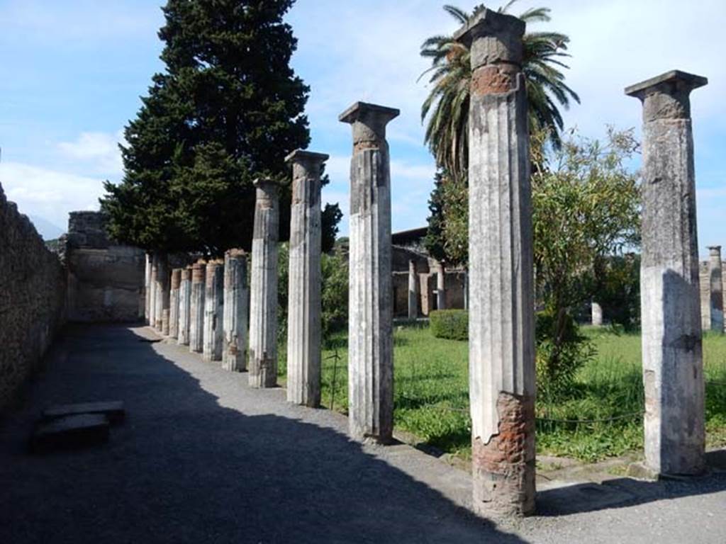 VI.12.2 Pompeii. May 2015. Looking north from south-west corner of rear peristyle.
Photo courtesy of Buzz Ferebee.