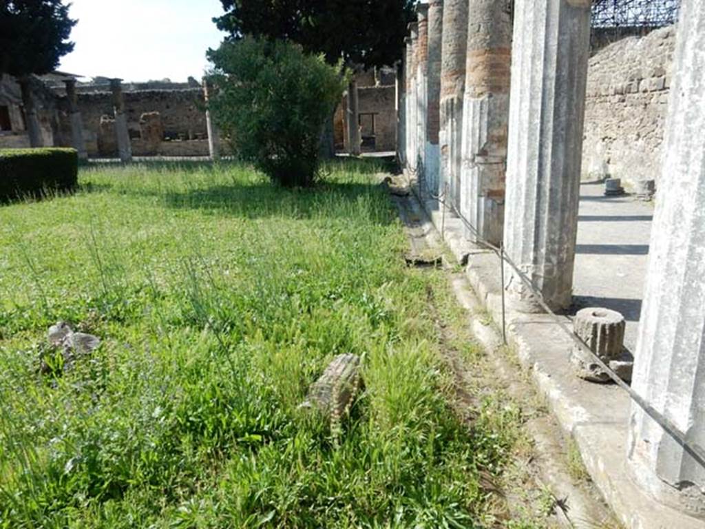 VI.12.2 Pompeii. May 2015. Looking north across peristyle towards the rear.
Photo courtesy of Buzz Ferebee.