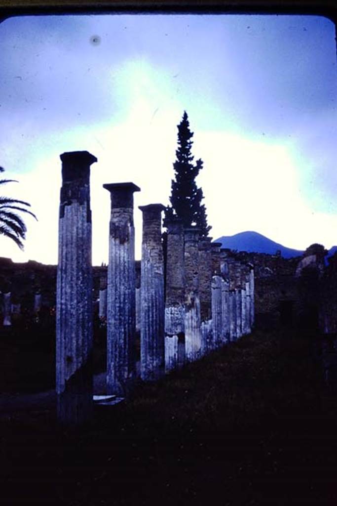 VI.12.2 Pompeii. 1955. Looking north along the east side of the rear peristyle. Photo by Stanley A. Jashemski.
Source: The Wilhelmina and Stanley A. Jashemski archive in the University of Maryland Library, Special Collections (See collection page) and made available under the Creative Commons Attribution-Non Commercial License v.4. See Licence and use details.
J55f0485
