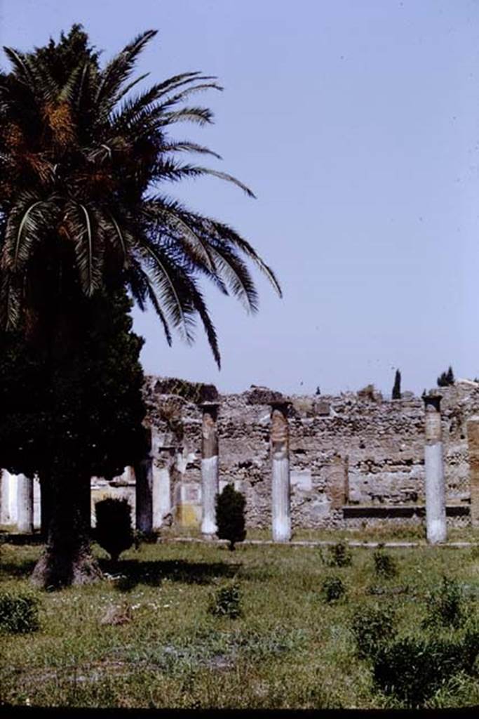 VI.12.2 Pompeii. 1968. Looking north across rear peristyle. Photo by Stanley A. Jashemski.
Source: The Wilhelmina and Stanley A. Jashemski archive in the University of Maryland Library, Special Collections (See collection page) and made available under the Creative Commons Attribution-Non Commercial License v.4. See Licence and use details.
J68f0577