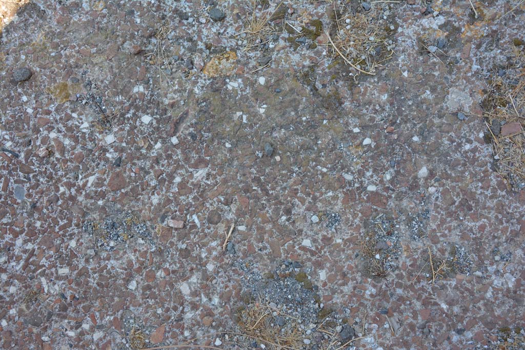 VI.12.5 Pompeii. 14th July 2017. Detail of flooring from Secondary Atrium 7.
Foto Annette Haug, ERC Grant 681269 DÉCOR.