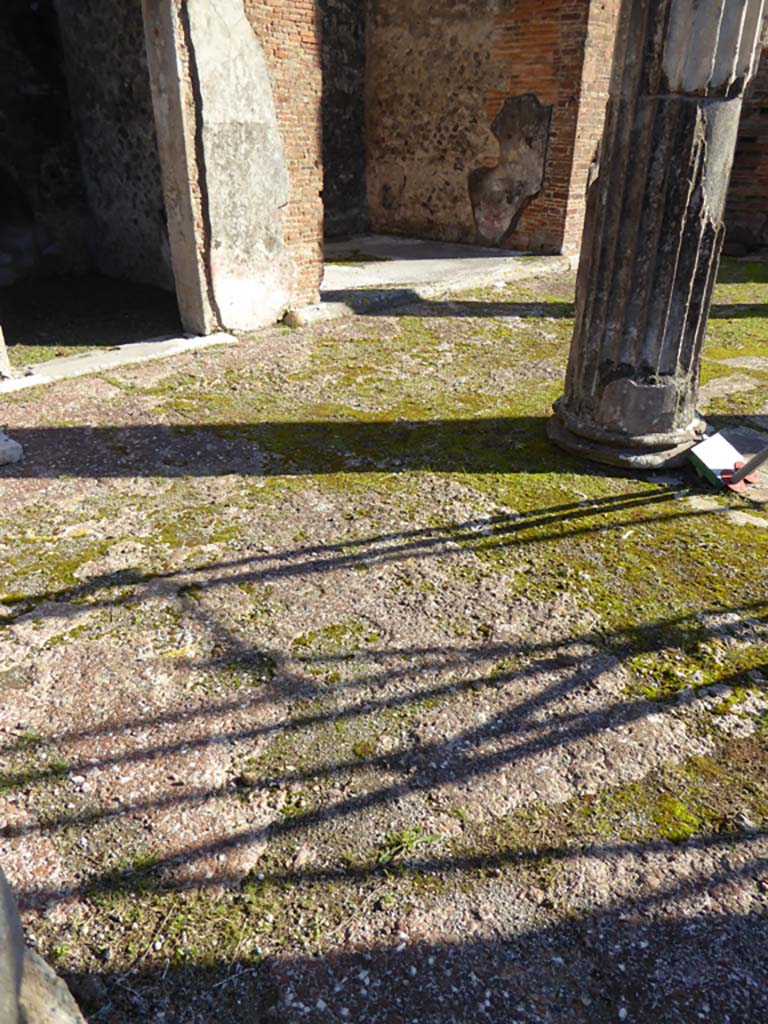 VI.12.5 Pompeii. 14th July 2017. Flooring on north-east side of Secondary Atrium 7.
Foto Annette Haug, ERC Grant 681269 DÉCOR.