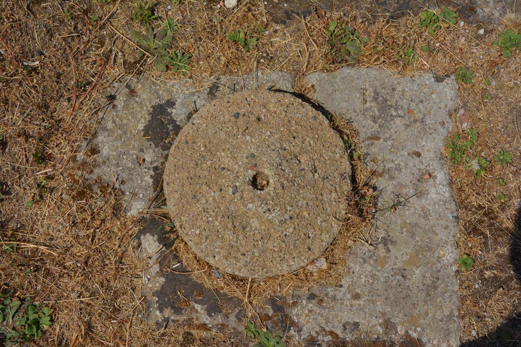 VI.12.5 Pompeii. 14th July 2017. Secondary Atrium 7, cistern-mouth on east side of impluvium.
Foto Annette Haug, ERC Grant 681269 DÉCOR.