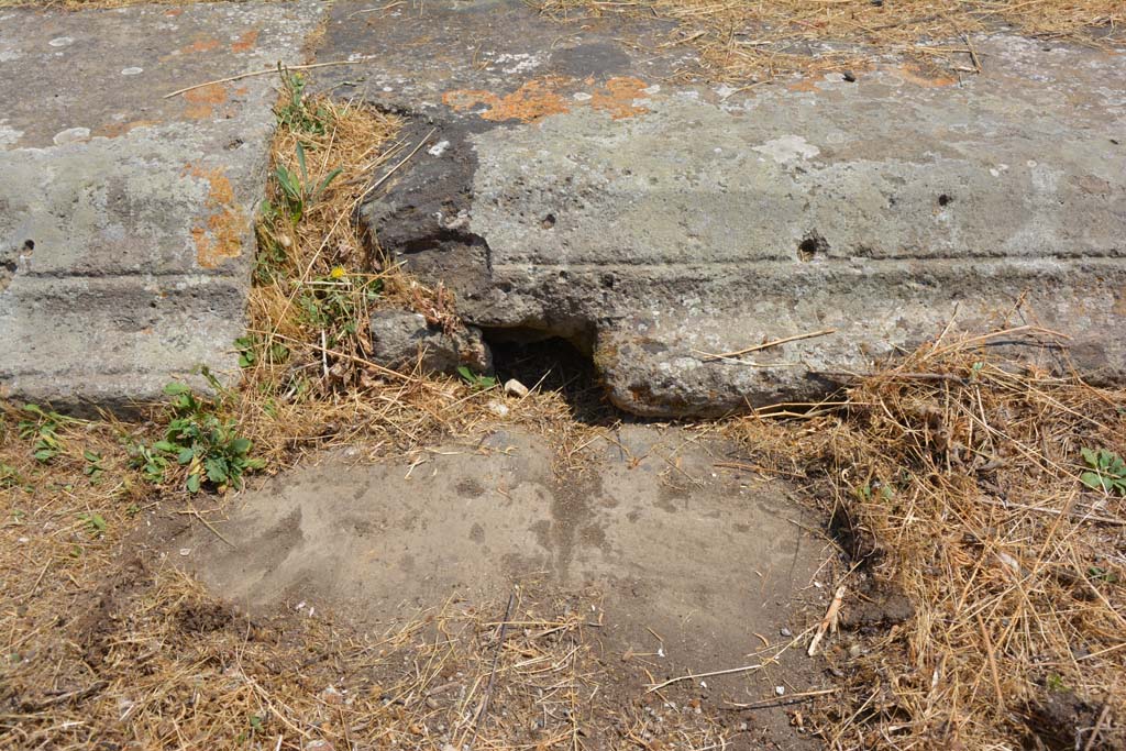 VI.12.5 Pompeii. 14th July 2017. Detail from east side of impluvium in Secondary Atrium.
Foto Annette Haug, ERC Grant 681269 DÉCOR.