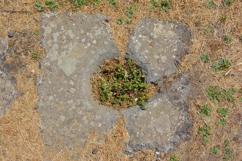 VI.12.5 Pompeii. 14th July 2017. Detail of cistern-mouth on south side of impluvium in atrium 7.
Foto Annette Haug, ERC Grant 681269 DÉCOR.