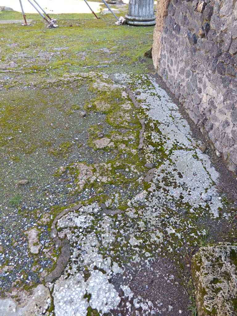 VI.12.5 Pompeii. 4th January 2017. Looking east across detail of flooring on south side in West Ala, 11.
Foto Annette Haug, ERC Grant 681269 DÉCOR.