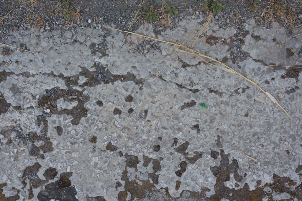 VI.12.5 Pompeii. 14th July 2017. Flooring in West Ala 11.
Foto Annette Haug, ERC Grant 681269 DÉCOR.