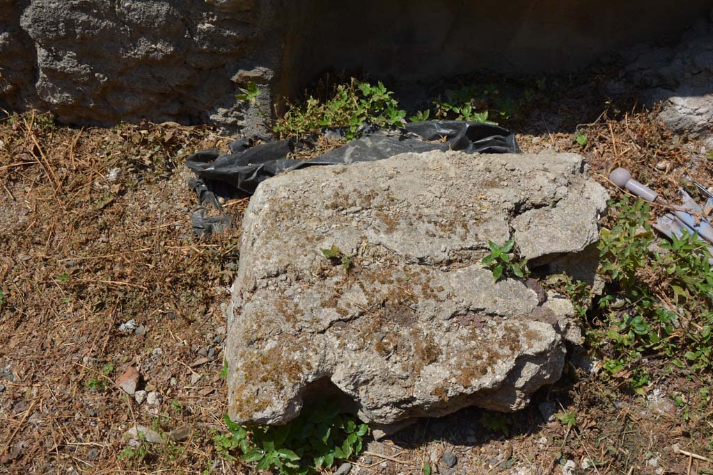 VI.12.5 Pompeii. 14th July 2017. Room 15, detail from floor level in north-west corner of triclinium.
Foto Annette Haug, ERC Grant 681269 DÉCOR.