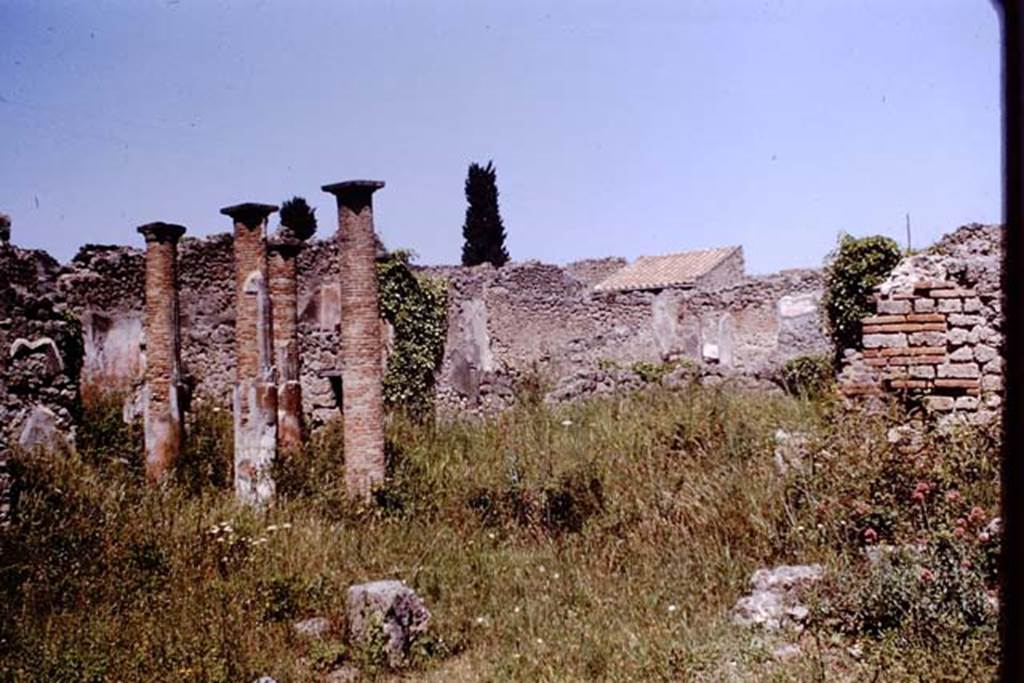 VI.13.6/8/9 Pompeii. 1964. Looking north-west across peristyle area. Photo by Stanley A. Jashemski.
Source: The Wilhelmina and Stanley A. Jashemski archive in the University of Maryland Library, Special Collections (See collection page) and made available under the Creative Commons Attribution-Non Commercial License v.4. See Licence and use details.
J64f1090