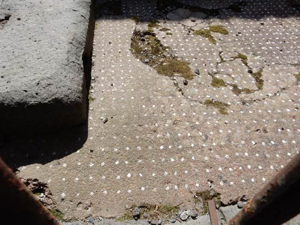 VI.13.13 Pompeii. May 2015. Detail of flooring of entrance vestibule.
Photo courtesy of Buzz Ferebee.