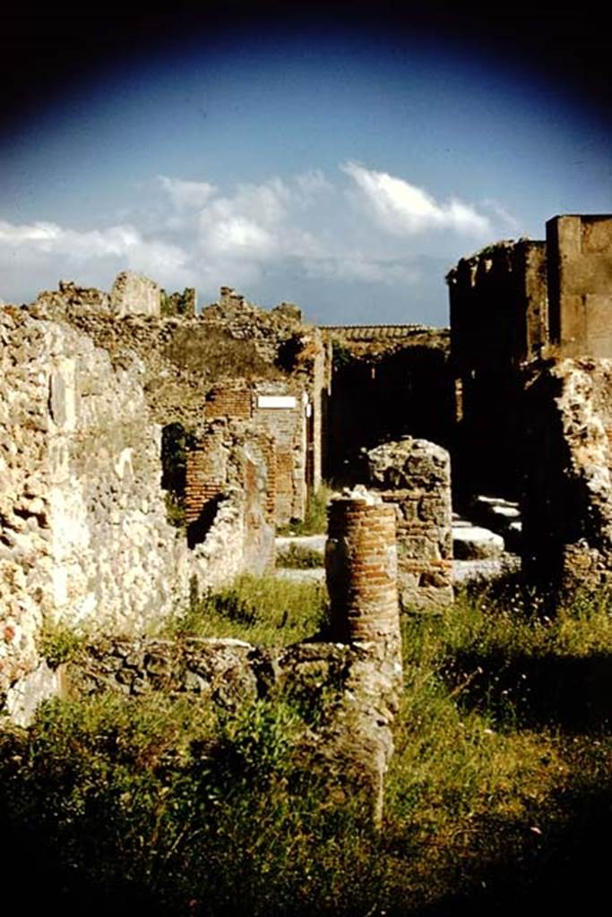 VI.14.2 Pompeii. 1959. Looking south towards entrance on Via della Fortuna, and across to Vicolo Storto. Photo by Stanley A. Jashemski.
Source: The Wilhelmina and Stanley A. Jashemski archive in the University of Maryland Library, Special Collections (See collection page) and made available under the Creative Commons Attribution-Non Commercial License v.4. See Licence and use details. J59f0230